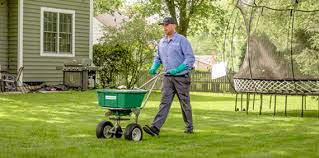 Image result for green ...ed=0CEIQsAQwAw