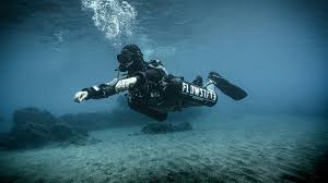 Image result for Canary Divers