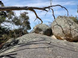 Image result for Blackhill Bounders