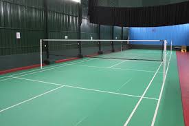 Image result for Flyers Badminton Club