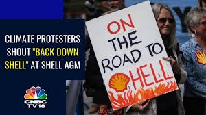 Image result for shell hell