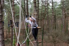 Image result for Go Ape! Whinlatter