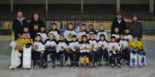 Image result for Romford Junior Ice Hockey Club