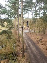 Image result for The Go Ape Experience (Delamere Forest)