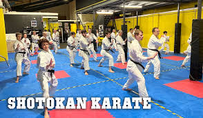 Image result for Didcot Judo and Karate Club