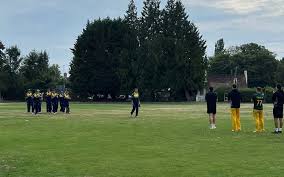 Image result for Aston Rowant Cricket Club