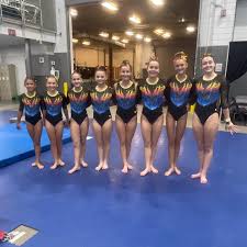 Image result for Phoenix Gymnastics