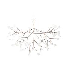 Attēlu rezultāti vaicājumam “Heracleum”