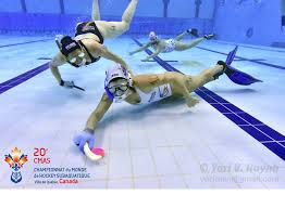 Image result for Sheffield Octopush Club