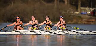 Image result for Derwent Rowing Club