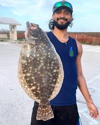 Image result for Paralichthys lethostigma