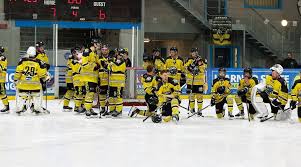 Image result for Widnes Ladies Hockey Club