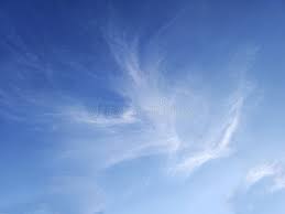 Attēlu rezultāti vaicājumam “Cirrus fibratus”