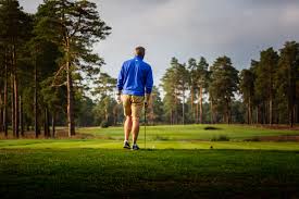 Image result for Hankley Common Golf Club