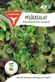 Image result for Pflücksalat