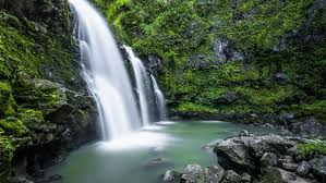 Image result for Cascada