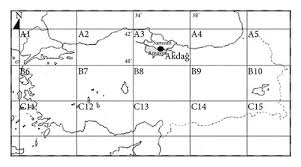 Attēlu rezultāti vaicājumam “Campylophyllum sommerfeltii”