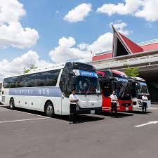 「シア・ハス」の画像検索結果