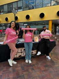 Image result for H C C Badminton Club