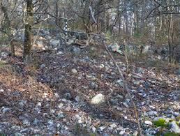 Image result for SEM micrographs of Novaculite Arkansas