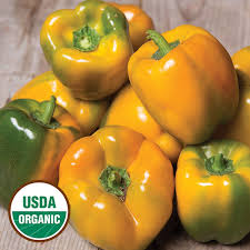 Afbeeldingsresultaat voor topepo giallo sweet pepper