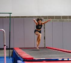 Image result for Harriers Acrobatic Gym Club