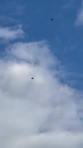 Image result for Kent Kite Flyers Club