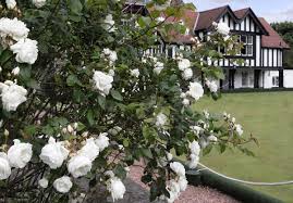 Image result for Argyle Gardens Bowling Club Trust