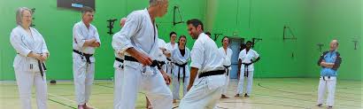 Image result for Edinburgh Karate do Shotokai