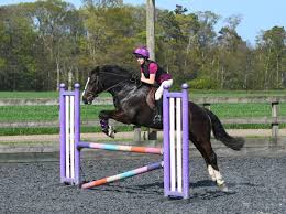 Image result for North Lammermuir Riding Club