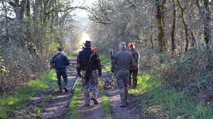 Image result for White Mark Bowmen Field Archery Club