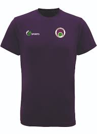 Image result for Bridge Of Allan Sports Club