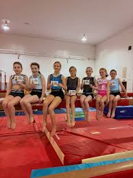 Image result for Brumby Gymnastics Club