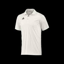 Image result for Frecheville Community Cricket Club