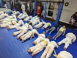 Image result for Blackpool Budokan Martial Arts