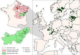 Attēlu rezultāti vaicājumam “Coenonympha hero”