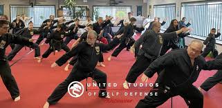 Image result for Wushu Tai Chi Club