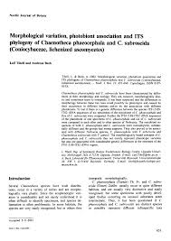 Attēlu rezultāti vaicājumam “Chaenotheca phaeocephala”
