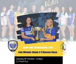 Image result for O`donovan Rossa Gfc