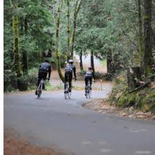 Image result for Birkenhead Victoria Cycling Club