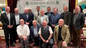 Image result for Aodh Ruadh Clg