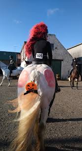 Image result for Chobham and District Riding Club