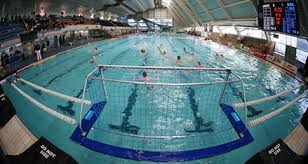 Image result for Leicester waterpolo club