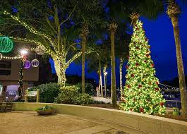 Image result for Harbour Lights Snorkelling Club (HLSC)