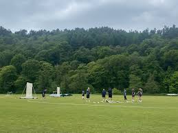 Image result for Alne Cricket Club