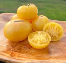 Afbeeldingsresultaat voor blushing yellow tomato