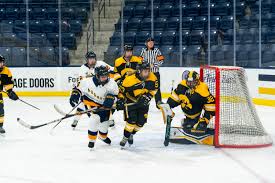 Image result for Penzance Hockey Club