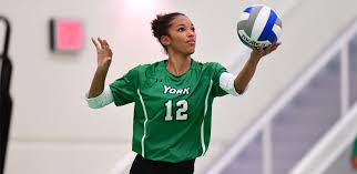 Image result for York University Volleyball Club