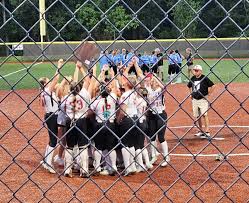 Image result for Dragons Softball Club