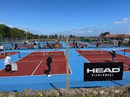 Image result for Lowestoft & District Junior Badminton Club